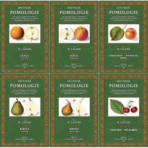 Deutsche Pomologie (Band 1-6): Äpfel, Birnen, Kirschen, Pflaumen, Apricosen, Pfirsiche und Weintrauben
