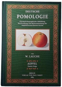 Deutsche Pomologie: Band 2 — Äpfel 2