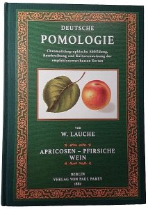 Deutsche Pomologie: Band 3 — Apricosen, Pfirsiche, Wein