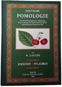 Deutsche Pomologie: Band 6 — Kirschen, Pflaumen
