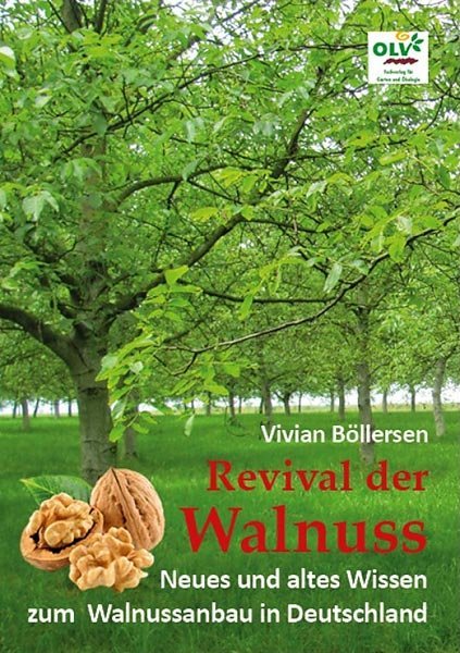 Revival der Walnuss