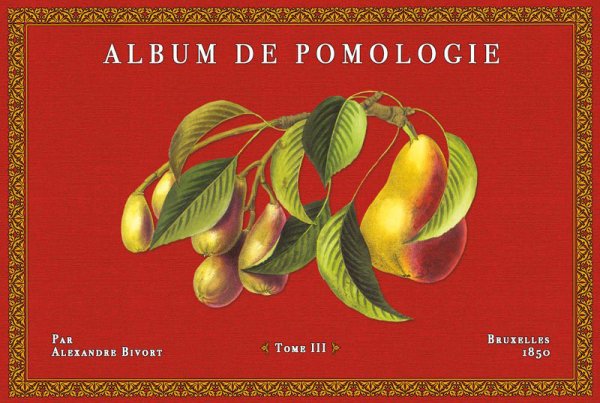 Album de Pomologie 3