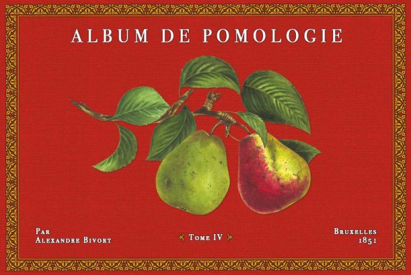 Album de Pomologie 4