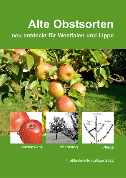 Alte Obstsorten neu entdeckt für Westfalen und Lippe