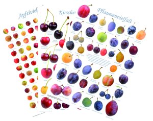 Poster, 3er-Set "Obstsortenfvielfalt" - groß