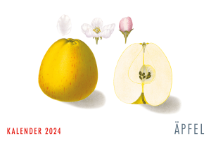 Wandkalender 2024 - Deutsche Pomologie: "Äpfel"